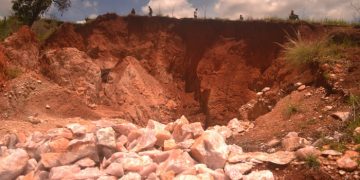 शिवसेना जिल्हाप्रमुखाविरोधात पोलीस ठाण्यात तक्रार