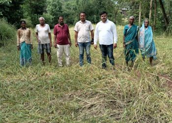 पं. स. उपसभापतींनी केली नुकसानग्रस्त भातशेतीची पाहणी