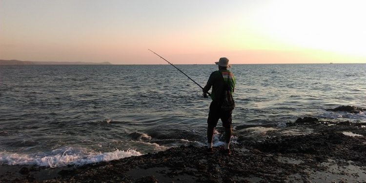 खाडीपट्ट्याला पर्यटनाची नवी संधी