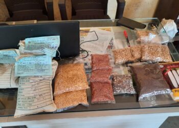 Agricultural gathering at Sringaratali