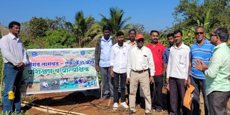 Watermelon Demonstration at Madhal