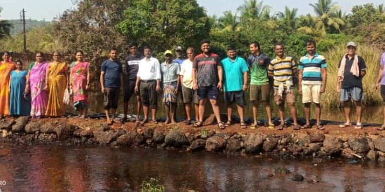 Dam built on Kotaluk Kasari river
