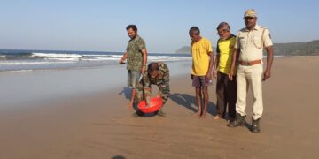Olive Ridley Tortoise Conservation