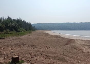 Bullying of sand businessmen in Palshet