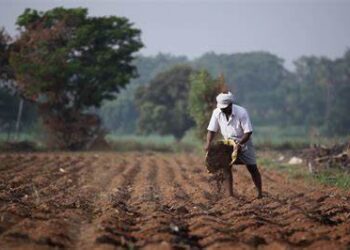 Loans to farmers at low interest rates
