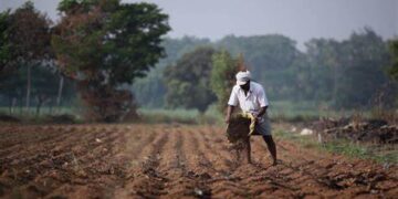 Loans to farmers at low interest rates