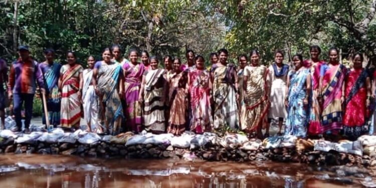 Dams built by villagers at Dhopave-Tetle
