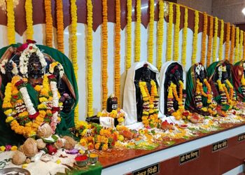 Ceremony of Guhagar village deity is complete