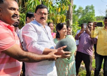 MLAs visited the watermelon plantation in Zombadi