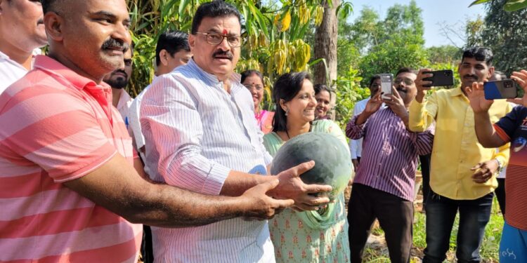 MLAs visited the watermelon plantation in Zombadi