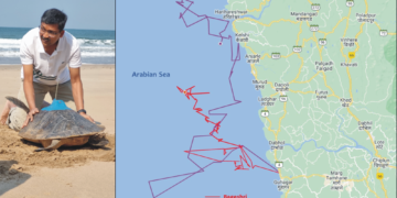 बागेश्री आणि गुहाची दोन वेळा झाली भेट