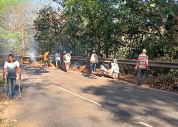 Cleanliness campaign by shree Members