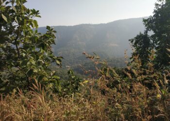 Nature's beauty is fading; Dheeraj Watekar