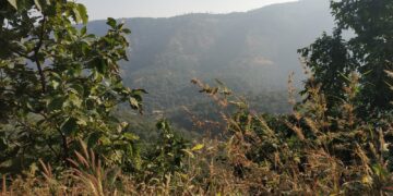 Nature's beauty is fading; Dheeraj Watekar