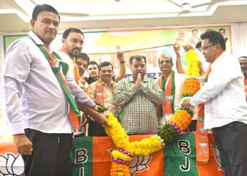 Crowd at BJP's resolution meeting