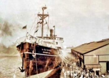 Wreck of warship found after 81 years