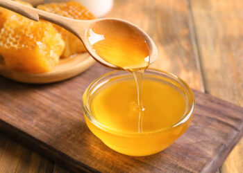 Khadi village industry increased the procurement rate of honey