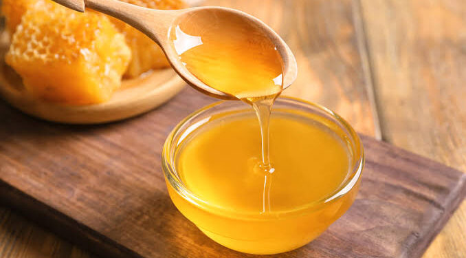 Khadi village industry increased the procurement rate of honey