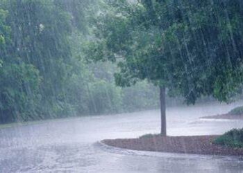 Monsoon this year is below average