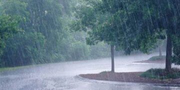 Monsoon this year is below average