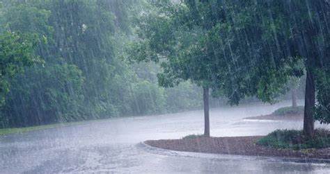 Monsoon this year is below average