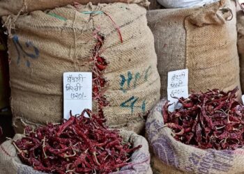 Increase in chilli price