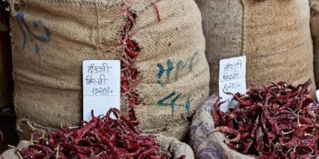 Increase in chilli price
