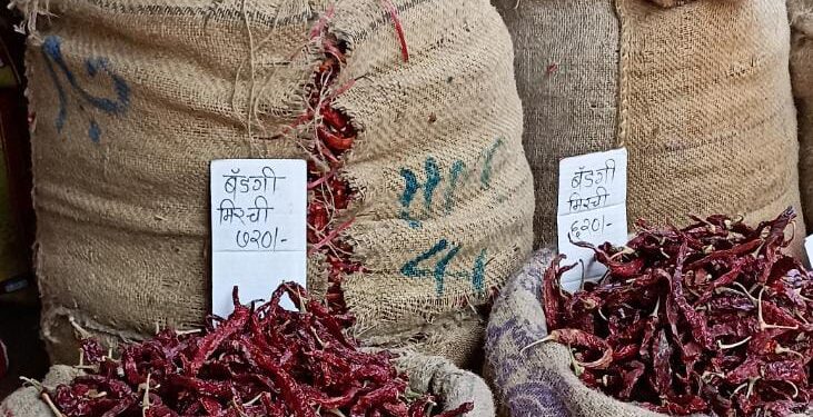 Increase in chilli price