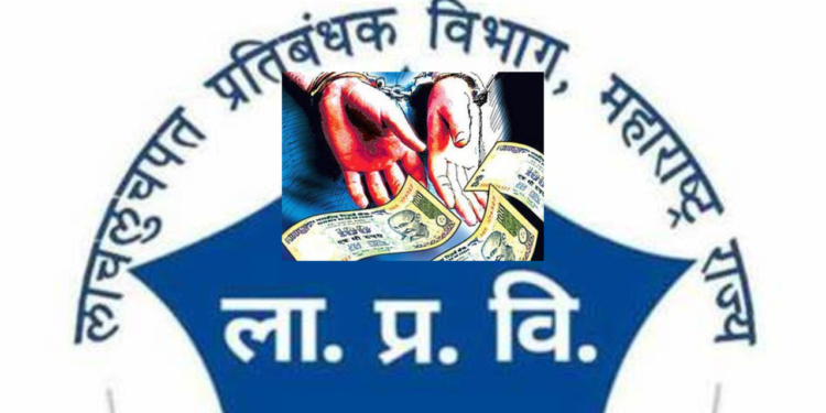 Sarpanch and deputy sarpanch caught taking bribe