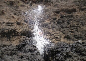 Taluk President Surve's request to Tourism Minister