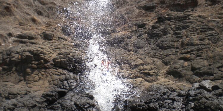 Taluk President Surve's request to Tourism Minister