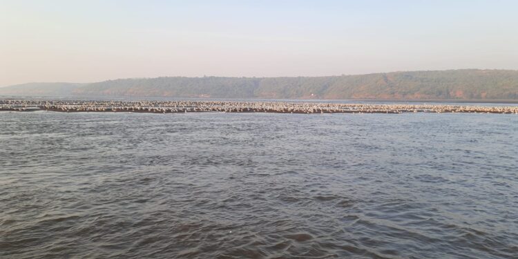 Inclusion of Dabhol Bay in National Waterways