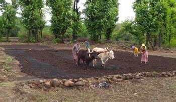 A Review of Pre-Kharip Season Preparations in Konkan