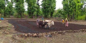 A Review of Pre-Kharip Season Preparations in Konkan