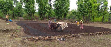 A Review of Pre-Kharip Season Preparations in Konkan