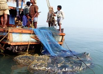 Prohibition of fishing by mechanized boats
