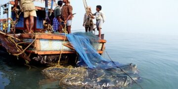 Prohibition of fishing by mechanized boats
