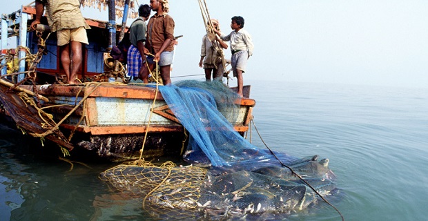 Prohibition of fishing by mechanized boats