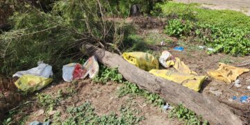 Guhagar beach sand extraction