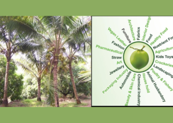 रत्नागिरीत १ जुलैपासून कल्पवृक्ष सप्ताह 