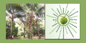 रत्नागिरीत १ जुलैपासून कल्पवृक्ष सप्ताह 