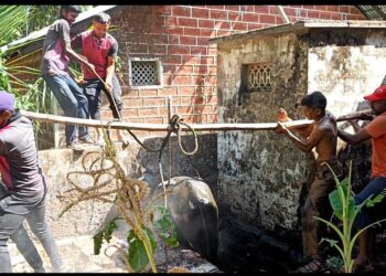 Excellent performance of Guhagar Nagar Panchayat staff