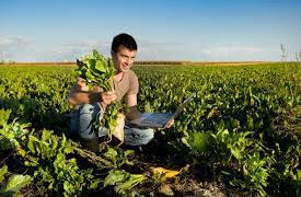 Start of horticulture development campaign