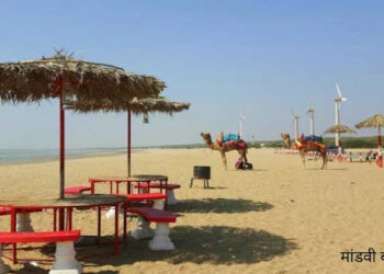 Students gave industrial gift to sea fans