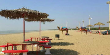 Students gave industrial gift to sea fans