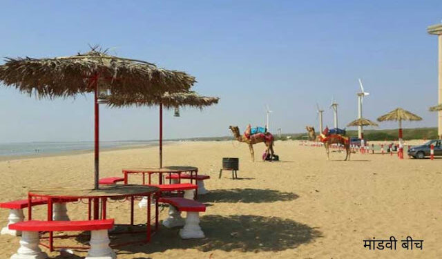 Students gave industrial gift to sea fans