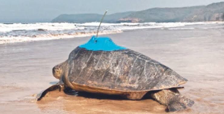 Bageshree also crossed Srilanka