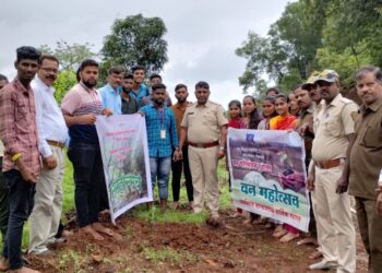 Plantation of trees by Patpanhale College