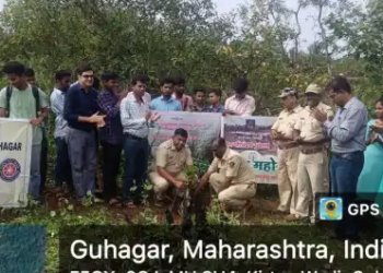 Tree plantation program completed in KDB College