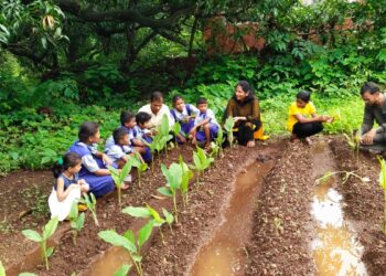 Kudli students learned about wild vegetables